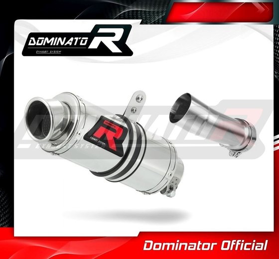 R 1200 R (2015 - 2018) exhaust silencer gp1 | Dominator