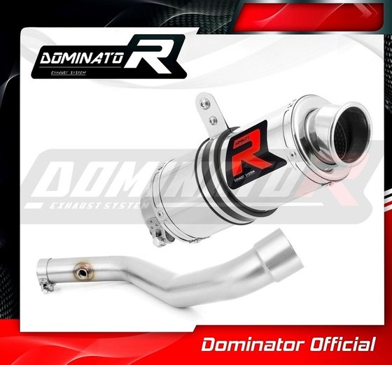 R 1150 RS (1970 - 2022) exhaust silencer gp1 | Dominator