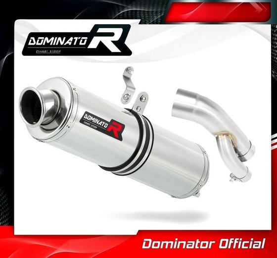 S 1000 RR (2017 - 2018) exhaust silencer muffler st | Dominator