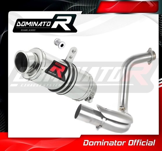 G 310 GS (2016 - 2022) exhaust silencer gp1 | Dominator