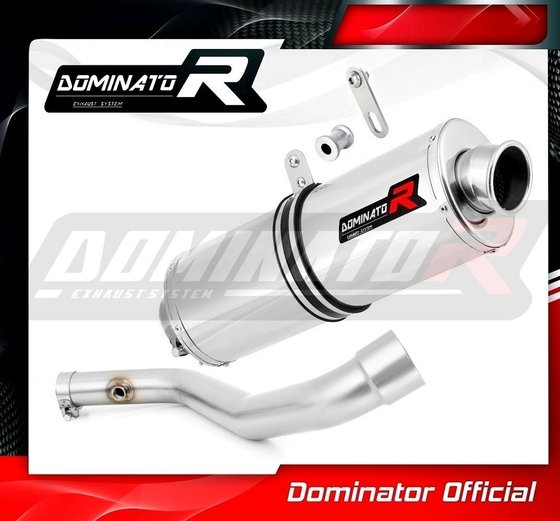 R 1100 R (1970 - 2022) exhaust silencer oval | Dominator