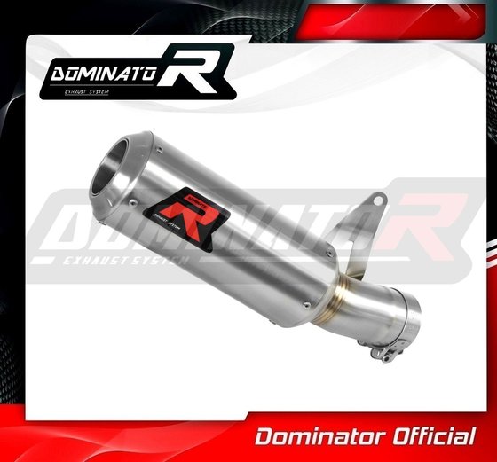 S 1000 R (2021 - 2022) exhaust silencer gp | Dominator