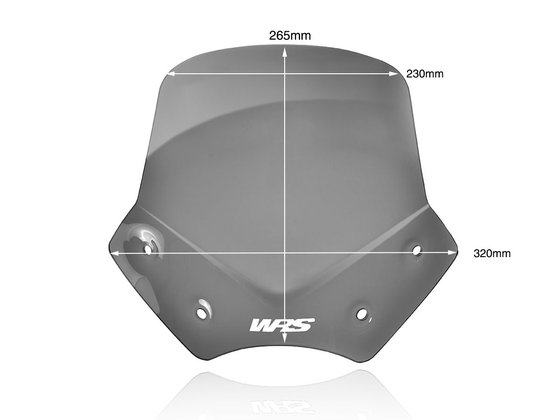 R 1200 R (2006 - 2014) sportinis priekinis stiklas bmw r1200r | WRS