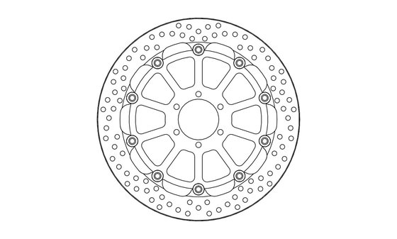 S 1000 RR (2019 - 2022) moto-master prof. halo brakedisc front bmw: s1000rr k76 2019--&gt; (t-floater 320x6) | MOTO-MASTER