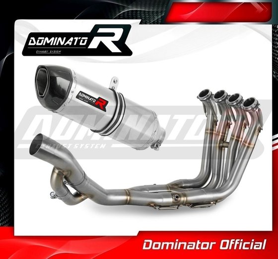 S 1000 R (2017 - 2020) full exhaust system silencer hp1 | Dominator