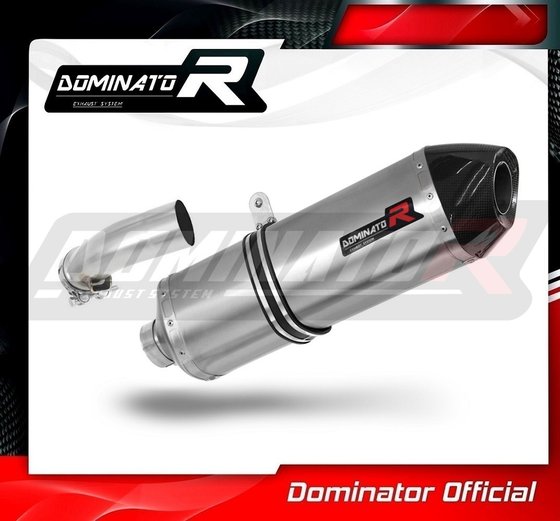 R 1200 RT (2010 - 2013) exhaust silencer muffler hp7 | Dominator