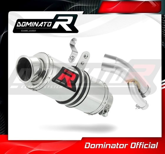 S 1000 RR (2017 - 2018) homologated exhaust silencer gp1 | Dominator