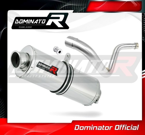 G 310 R (2016 - 2022) exhaust silencer oval | Dominator