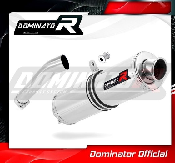 G 650 GS (2011 - 2018) exhaust silencer round | Dominator