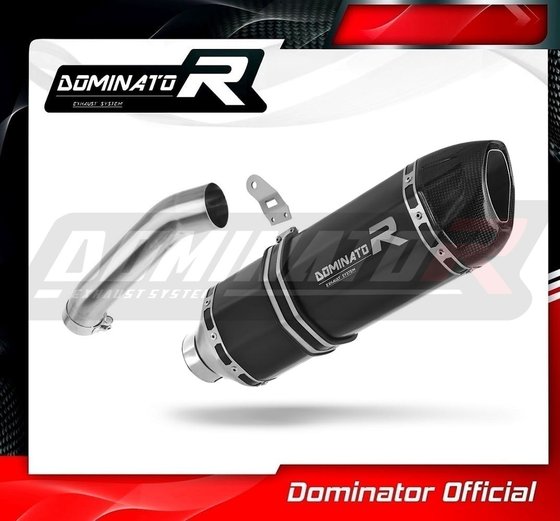 HP2 ENDURO (2004 - 2007) exhaust silencer muffler hp1 black | Dominator