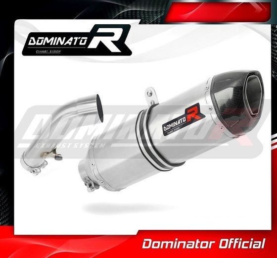 R 1200 R (2006 - 2009) exhaust silencer muffler hp1 | Dominator