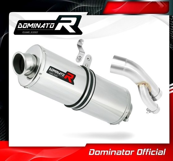 S 1000 RR (2017 - 2018) homologated exhaust silencer oval | Dominator