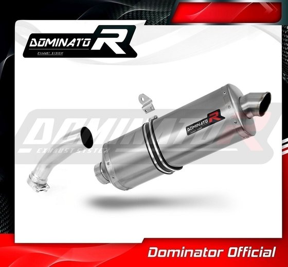 R 1200 GS ADVENTURE (2008 - 2009) exhaust silencer muffler p7 | Dominator