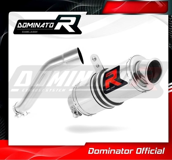 F 650 CS SCARVER (2002 - 2005) exhaust silencer gp1 | Dominator