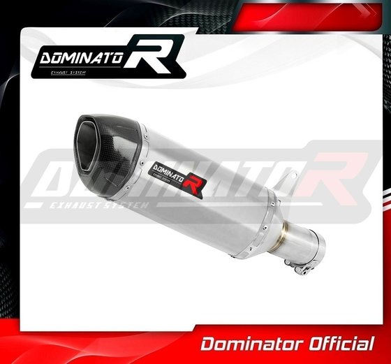 S 1000 R (2021 - 2022) exhaust silencer hp1 | Dominator