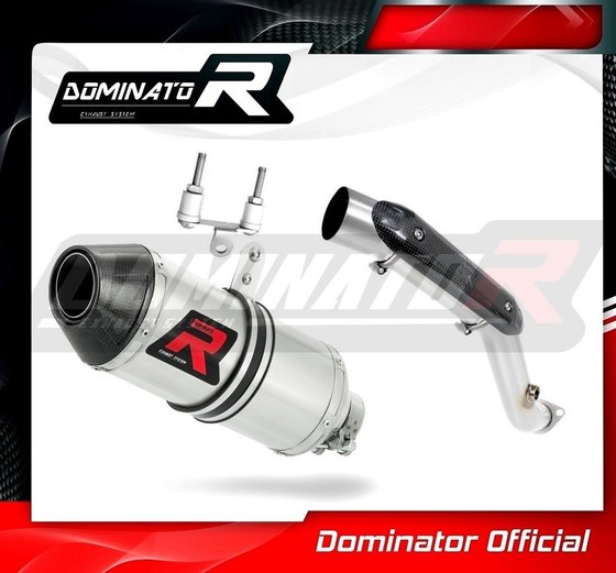 G 310 R (2016 - 2022) exhaust silencer hp3 | Dominator