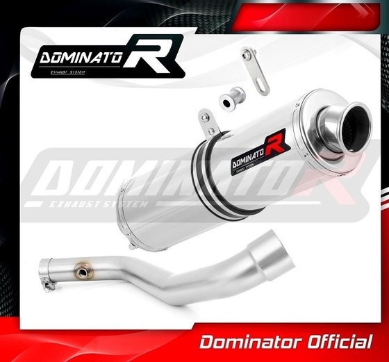 R 1100 GS (1970 - 2022) exhaust silencer round | Dominator