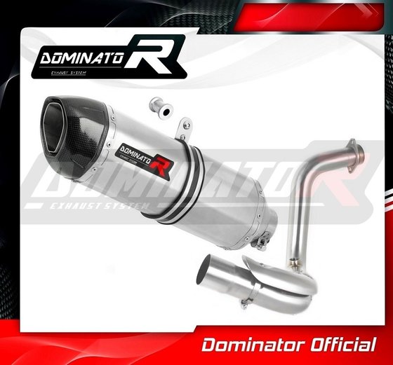 G 310 GS (2016 - 2022) exhaust silencer hp1 | Dominator