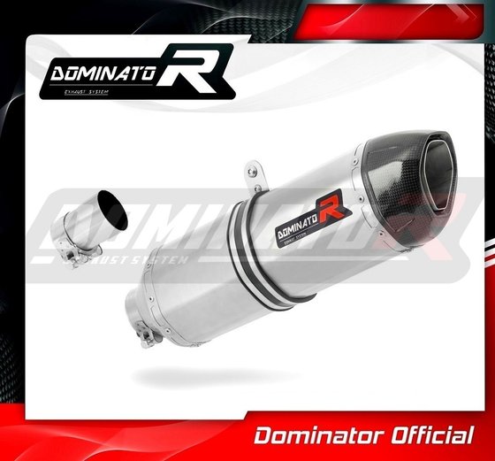 R 850 R (2004 - 2007) exhaust silencer hp1 | Dominator