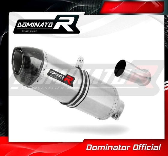 K 1300 R (1970 - 2022) exhaust silencer hp1 | Dominator