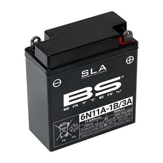 R 27 (1960 - 1966) bs 6n11a-1b/3-a battery | BS BATTERY